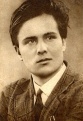  ϸ